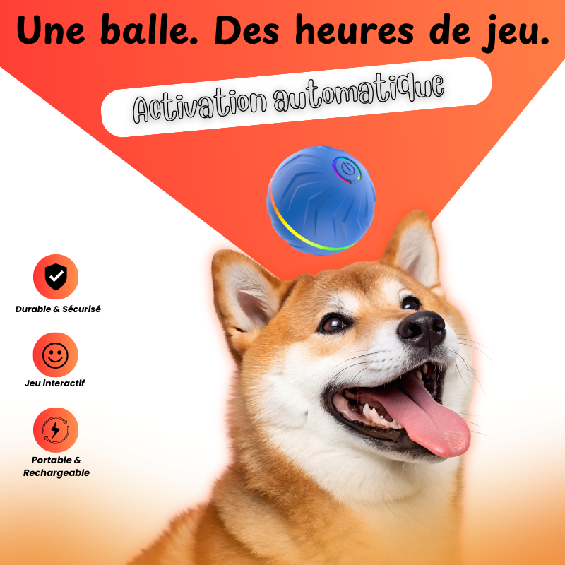 PAWBOOST Stimulation intelligente pour chiens épanouis