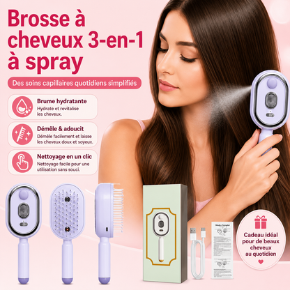 Des cheveux lisses en 5 minutes ! MaBrosseUtile™ Lissante électrique Portable