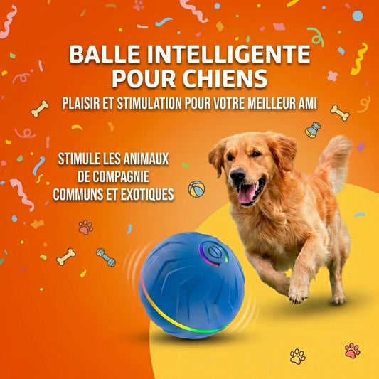 PAWBOOST Stimulation intelligente pour chiens épanouis
