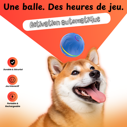 PAWBOOST Stimulation intelligente pour chiens épanouis