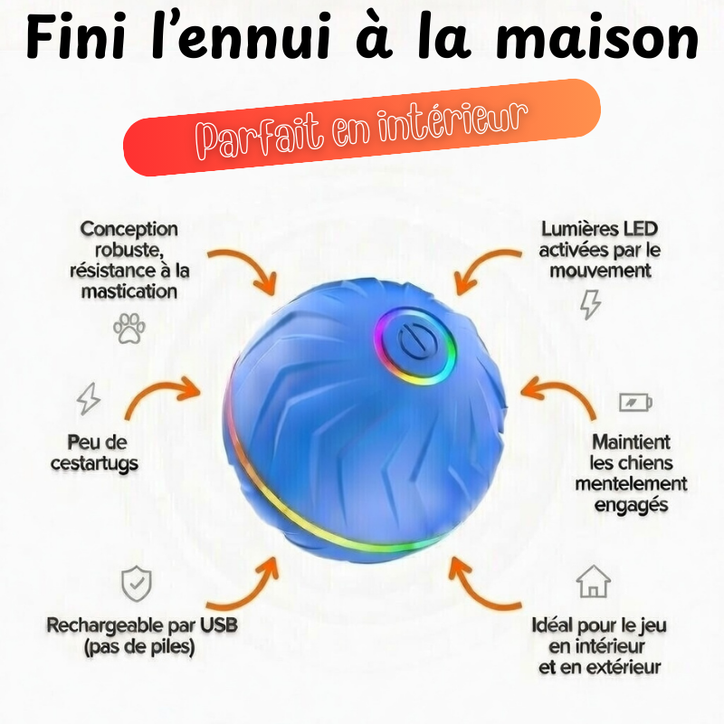 PAWBOOST Stimulation intelligente pour chiens épanouis