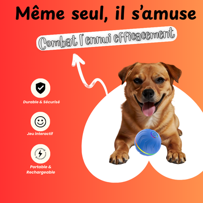 PAWBOOST Stimulation intelligente pour chiens épanouis